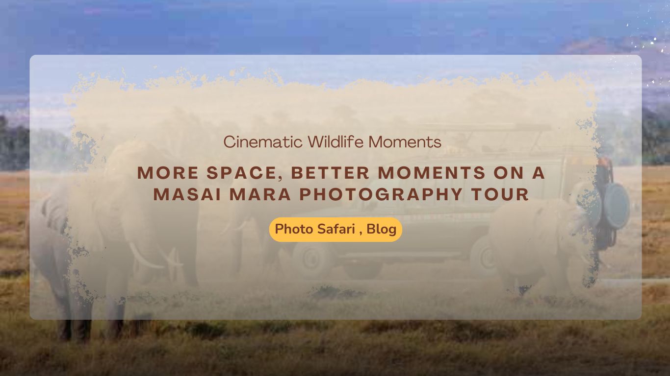 more-space-better-moments-on-a-masai-mara-photography-tour