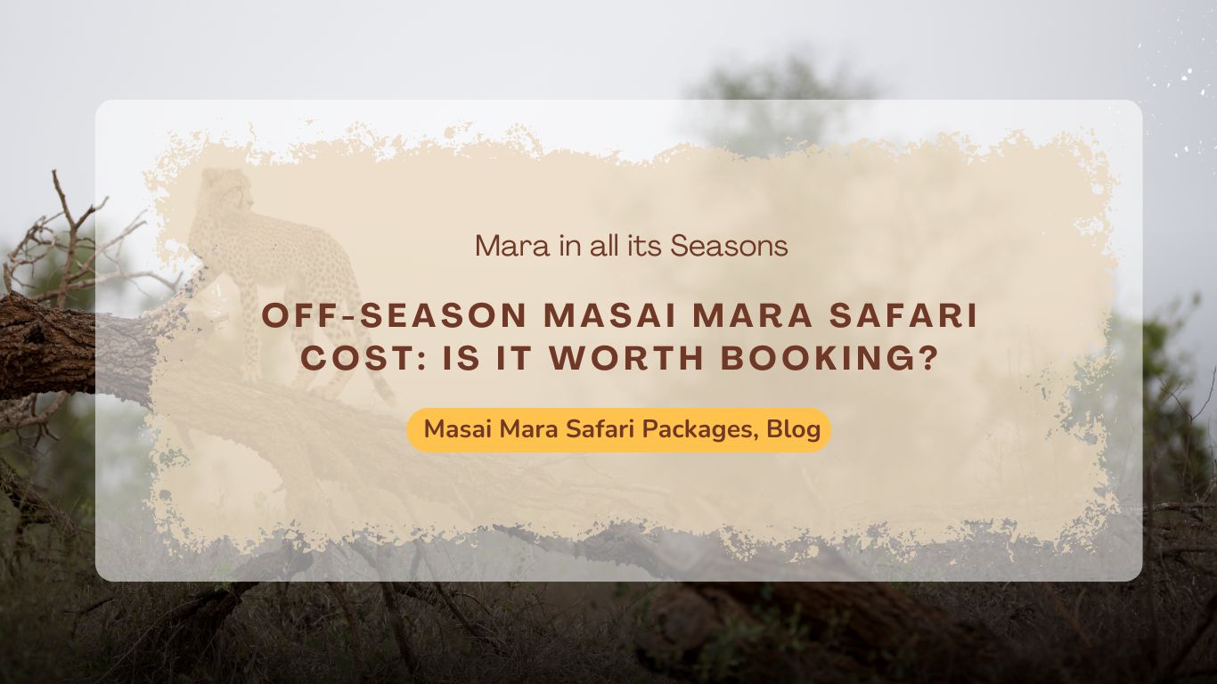 off-season-masai-mara-safari-cost-is-it-worth-booking
