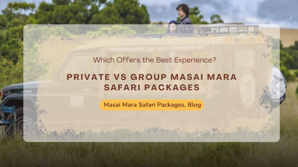 private-vs-group-masai-mara-safari-packages-which-offers-the-best-experience