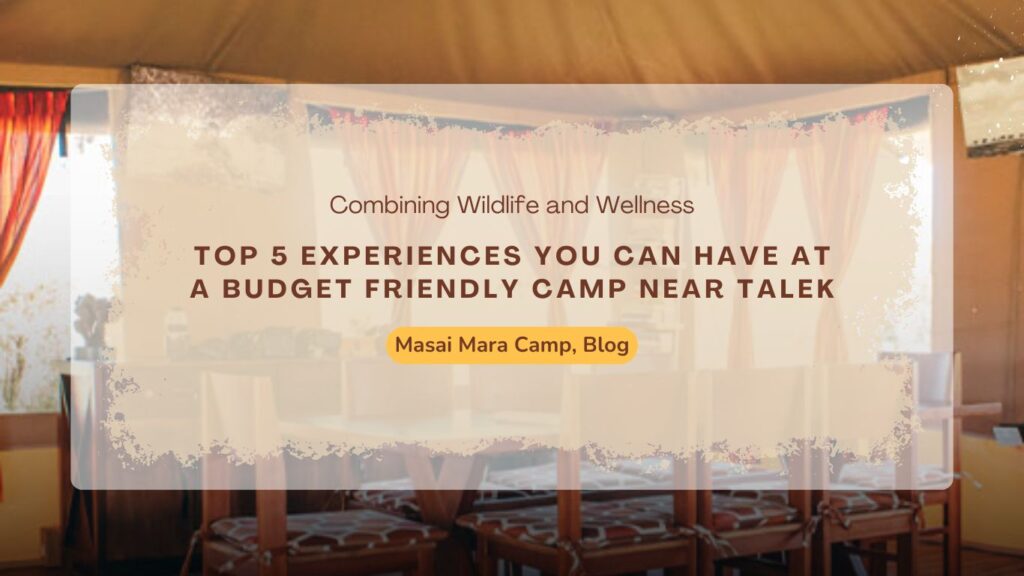 top-5-experiences-you-can-have-at-a-budget-friendly-camp-near-talek