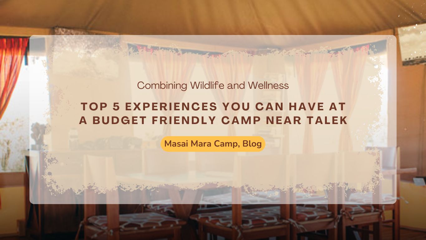 top-5-experiences-you-can-have-at-a-budget-friendly-camp-near-talek