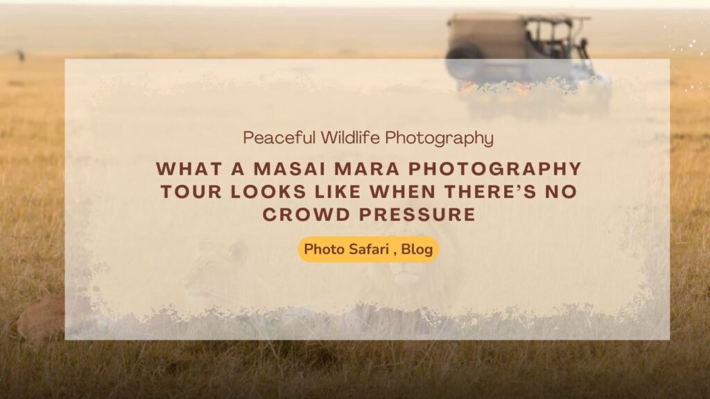 what-a-masai-mara-photography-tour-looks-like-when-there’s-no-crowd-pressure