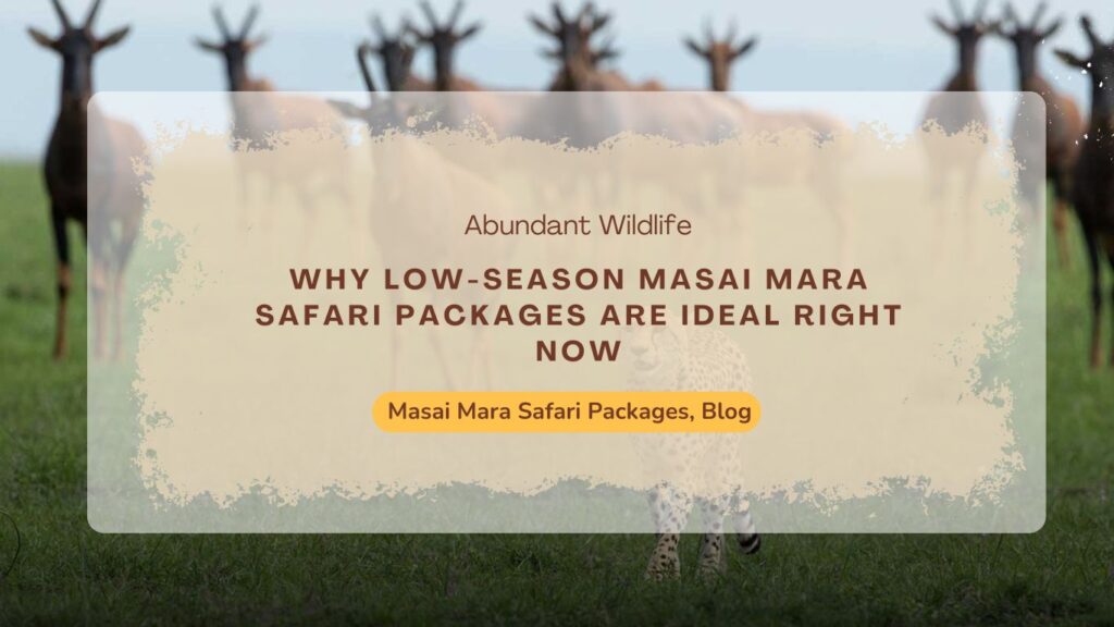 why-low-season-masai-mara-safari-packages-are-ideal-right-now
