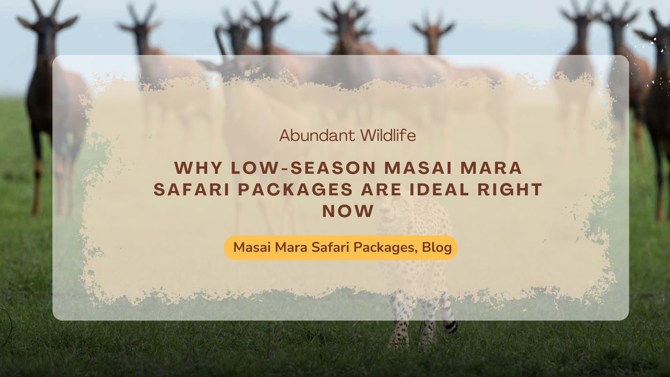 why-low-season-masai-mara-safari-packages-are-ideal-right-now