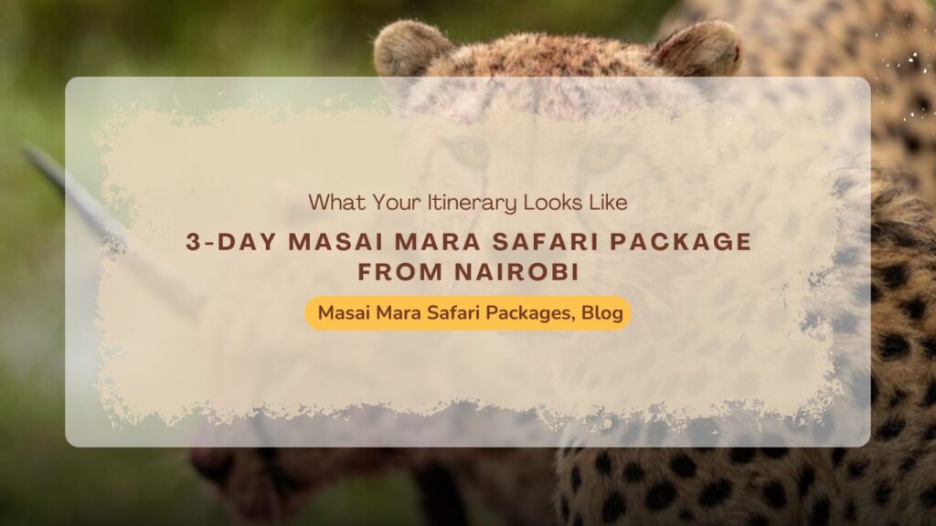 3-day-masai-mara-safari-package-from-nairobi-what-your-itinerary-looks-like