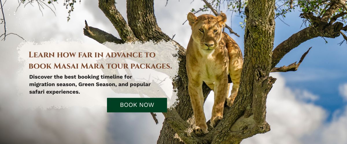 Masai Mara Tour Packages