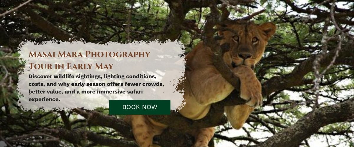 Masai Mara Photography Tour