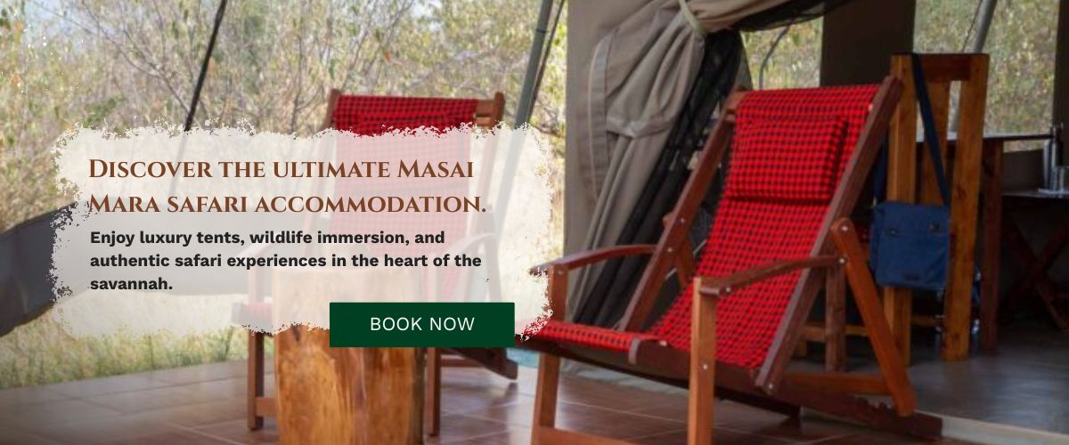 Masai Mara Safari Accommodation