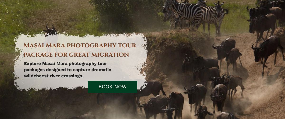 Masai Mara Photography Tour Packages