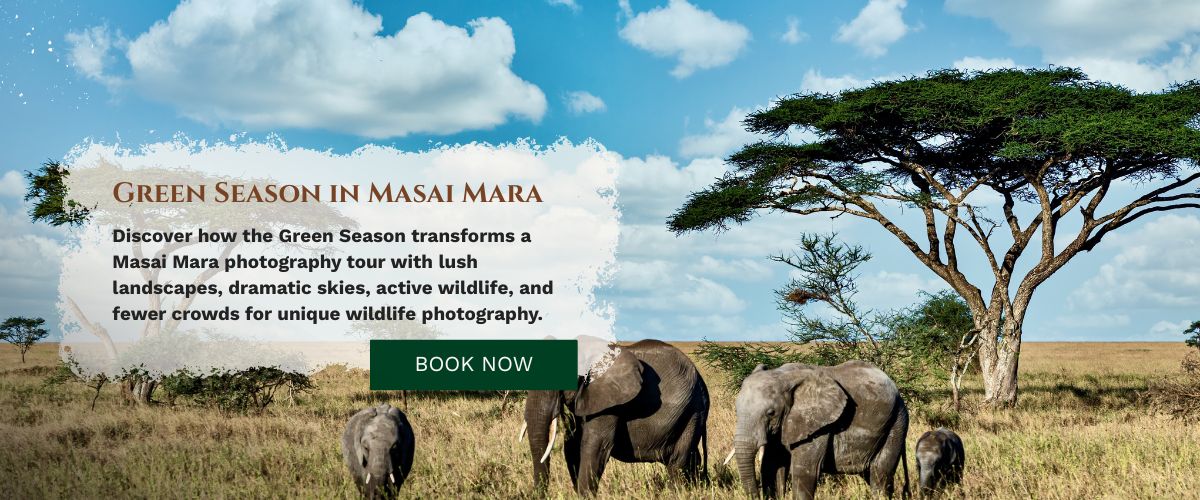 Masai Mara Photography Tour