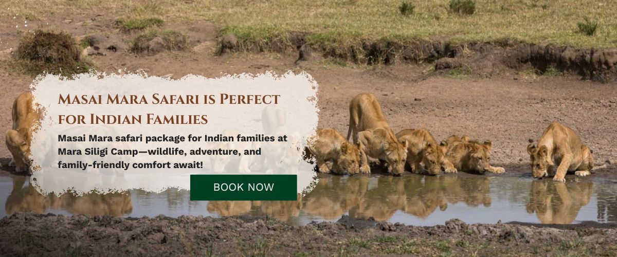 Masai Mara Safari Package