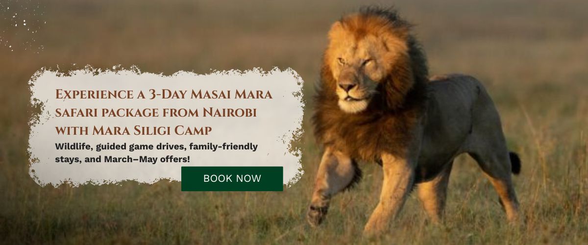 Masai Mara Safari Package