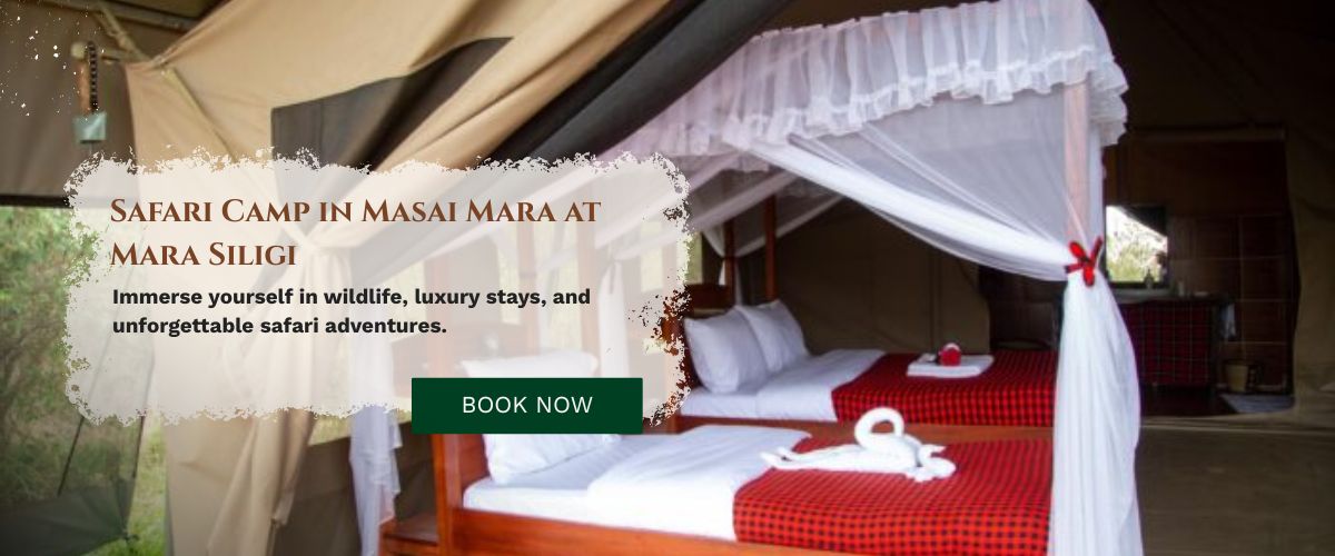 Safari Camp in Masai Mara