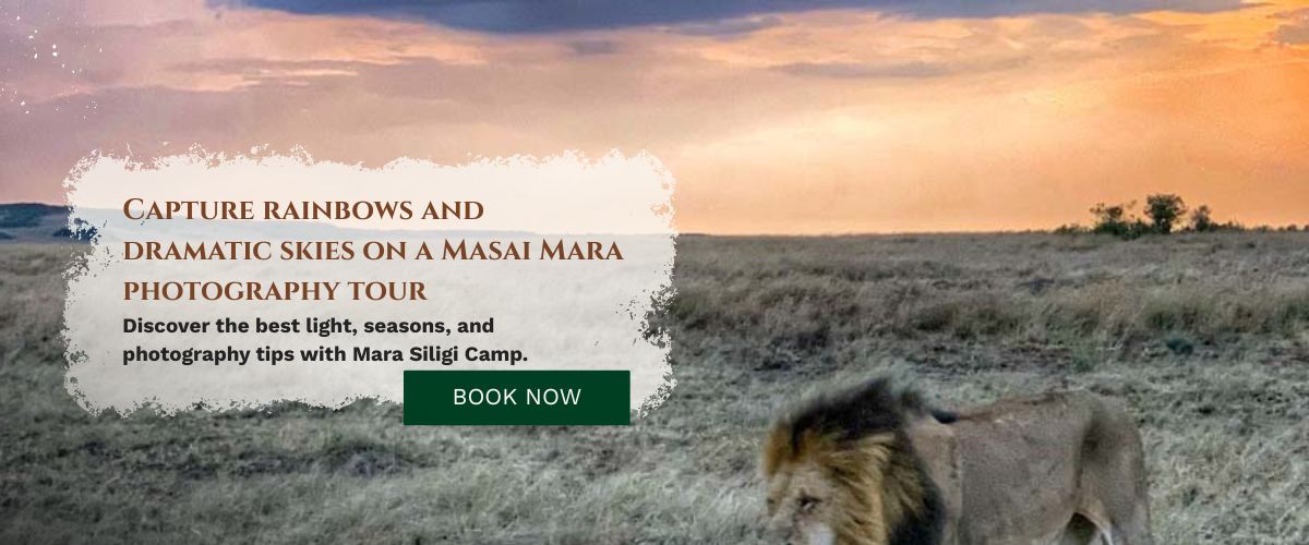 Masai Mara Photography Tour