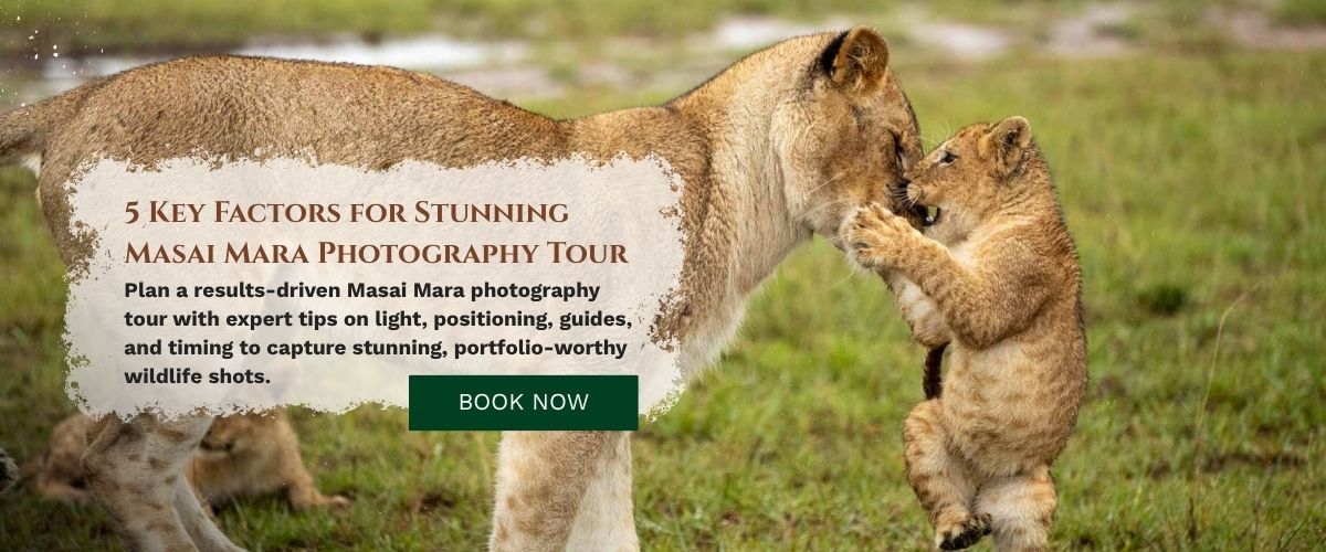 Masai Mara Photography Tour