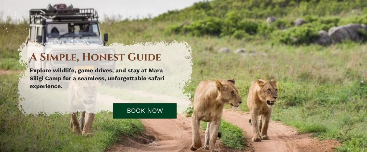 Masai Mara Safari Package
