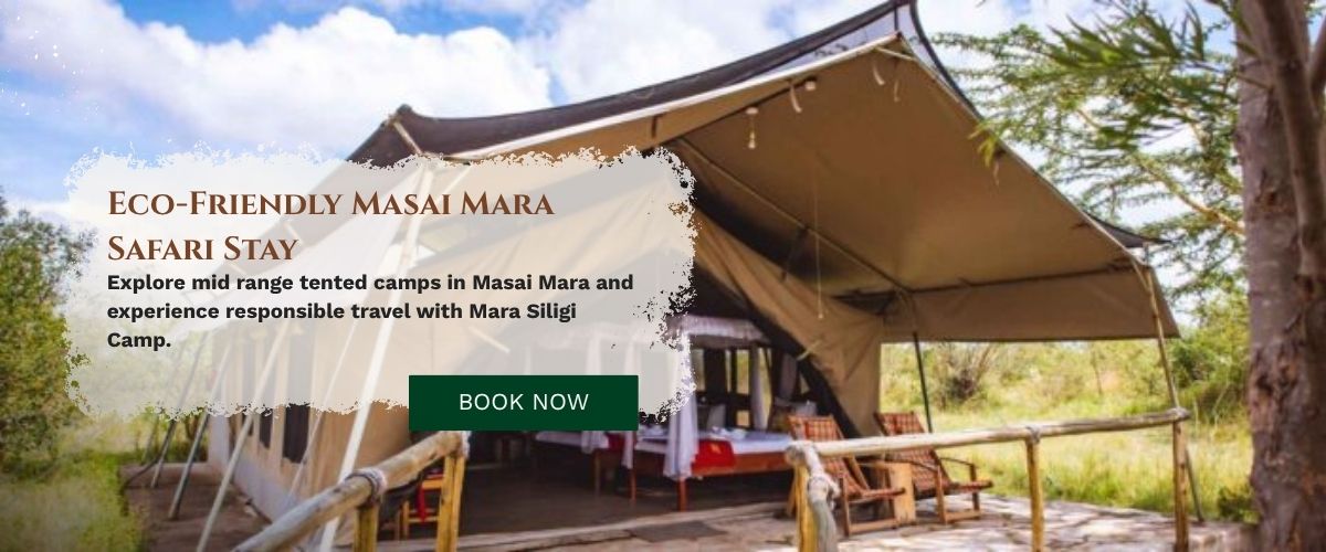 Masai Mara Safari Stay