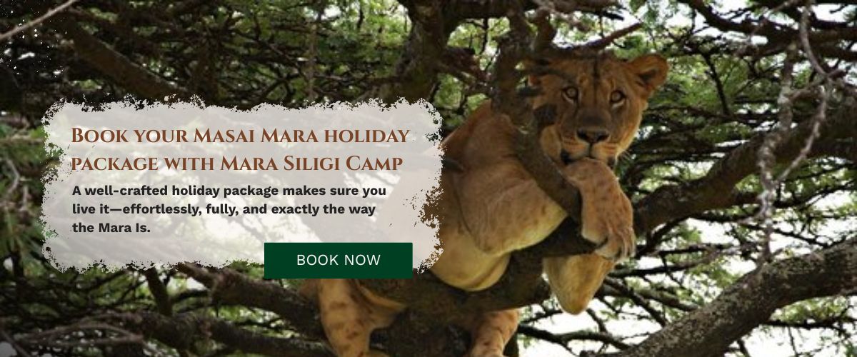 Masai Mara Holiday Packages