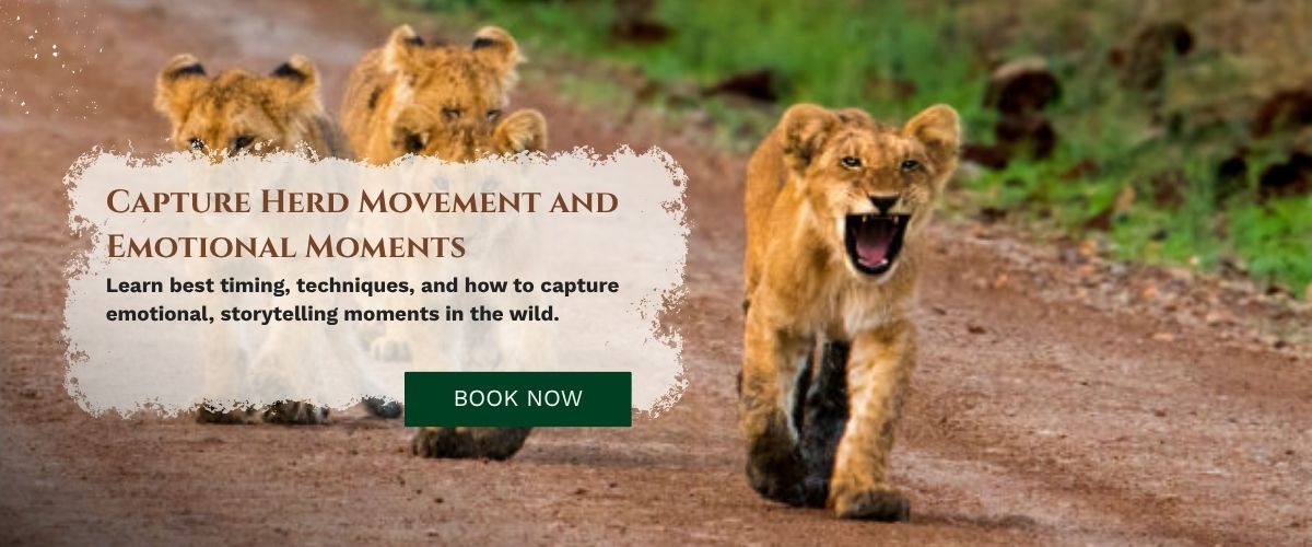 Masai Mara Photography Tour