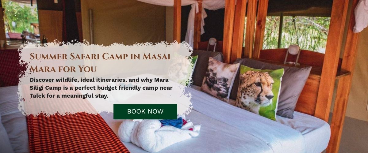 Safari Camp in Masai Mara