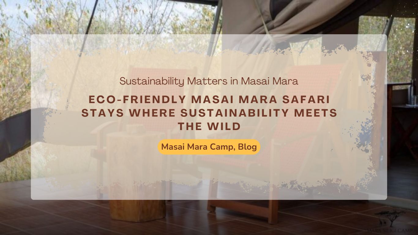 eco-friendly-masai-mara-safari-stays-where-sustainability-meets-the-wild