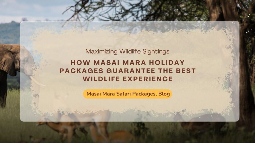 how-masai-mara-holiday-packages-guarantee-the-best-wildlife-experience