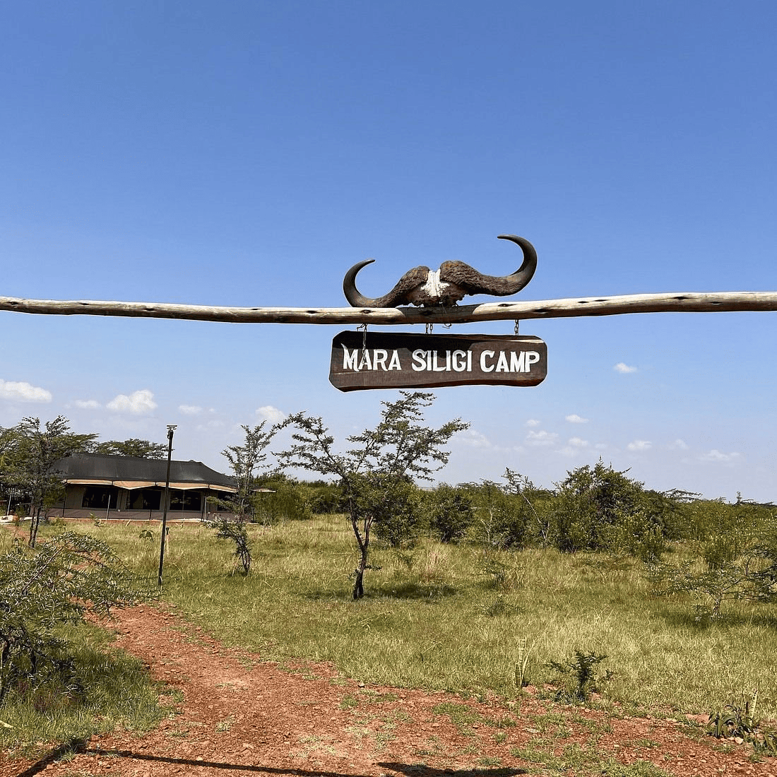 Masai Mara Safari Accommodation