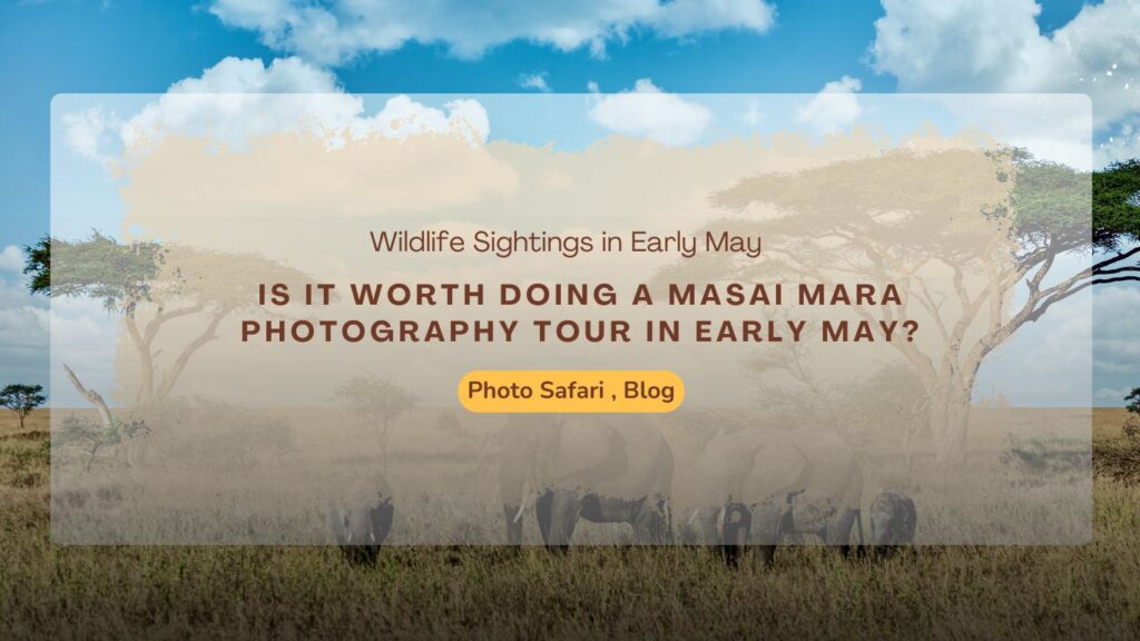 is-it-worth-doing-a-masai-mara-photography-tour-in-early-may