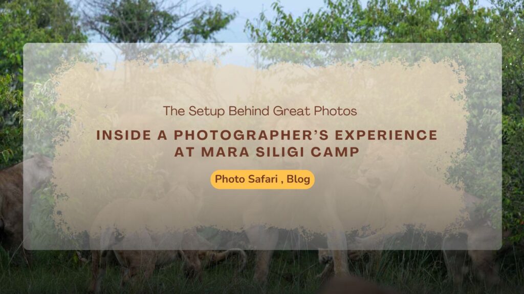 masai-mara-photography-tour-inside-a-photographers-experience-at-mara-siligi-camp