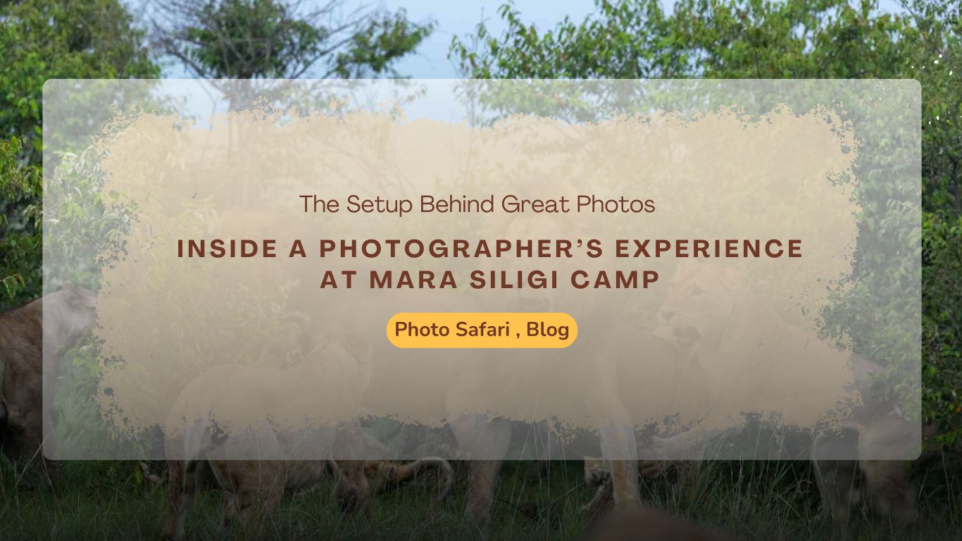 masai-mara-photography-tour-inside-a-photographers-experience-at-mara-siligi-camp