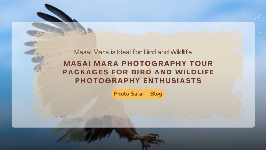 masai-mara-photography-tour-packages-for-bird-and-wildlife-photography-enthusiasts