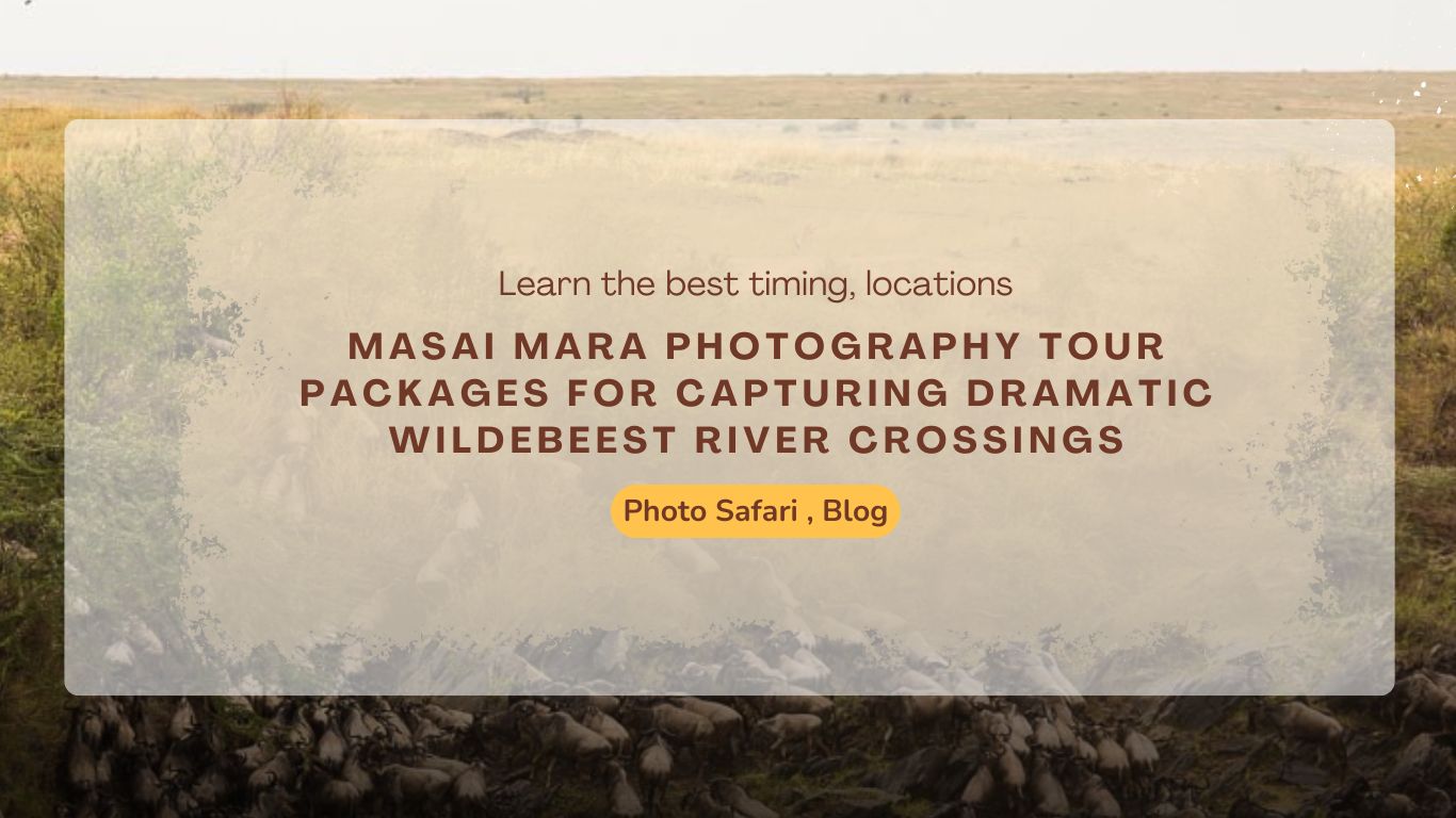 masai-mara-photography-tour-packages-for-capturing-dramatic-wildebeest-river-crossings