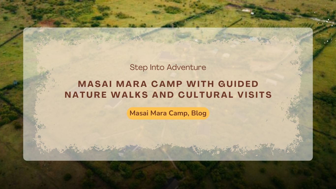 step-into-adventure-at-a-masai-mara-camp-with-guided-nature-walks-and-cultural-visits