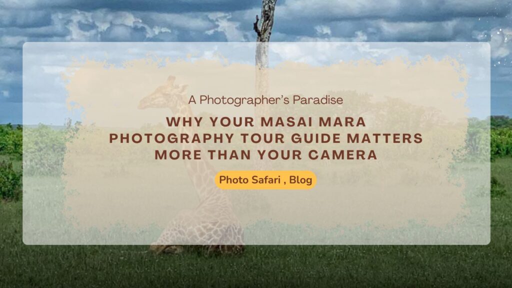 why-your-masai-mara-photography-tour-guide-matters-more-than-your-camera