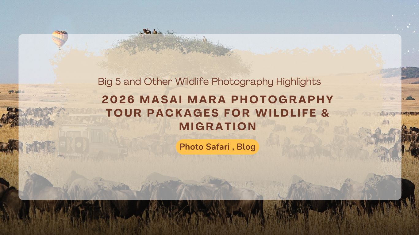 2026-masai-mara-photography-tour-packages-for-wildlife-&-migration