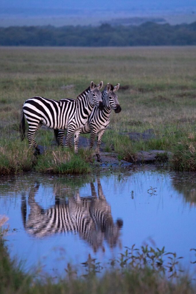 Masai Mara Travel Package