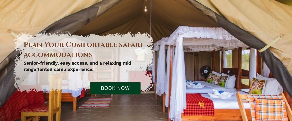 Masai Mara Safari Accommodation