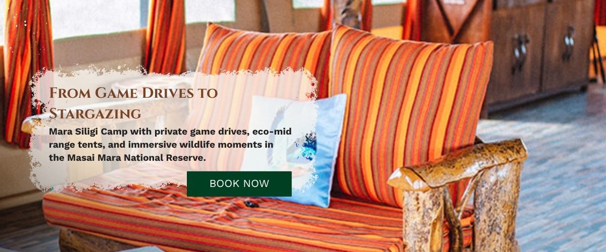Masai Mara Safari Stay