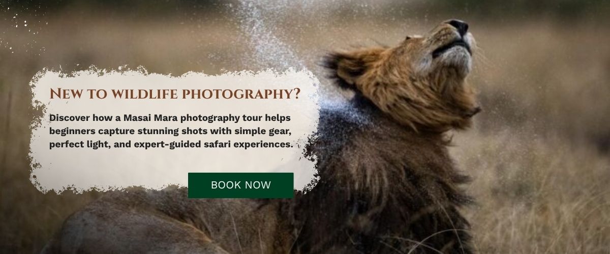 Masai Mara Photography Tour