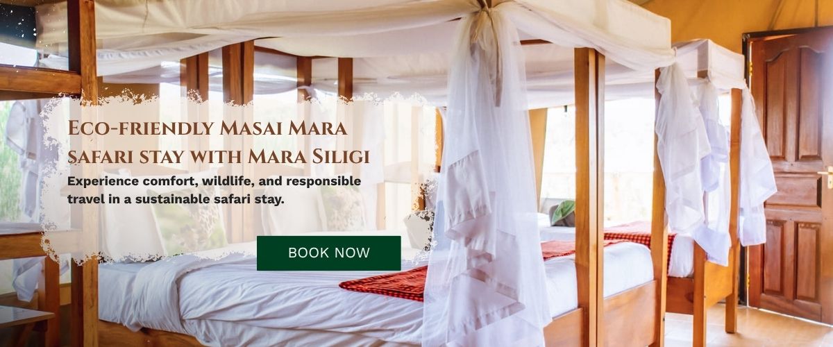 Masai Mara Safari Stay
