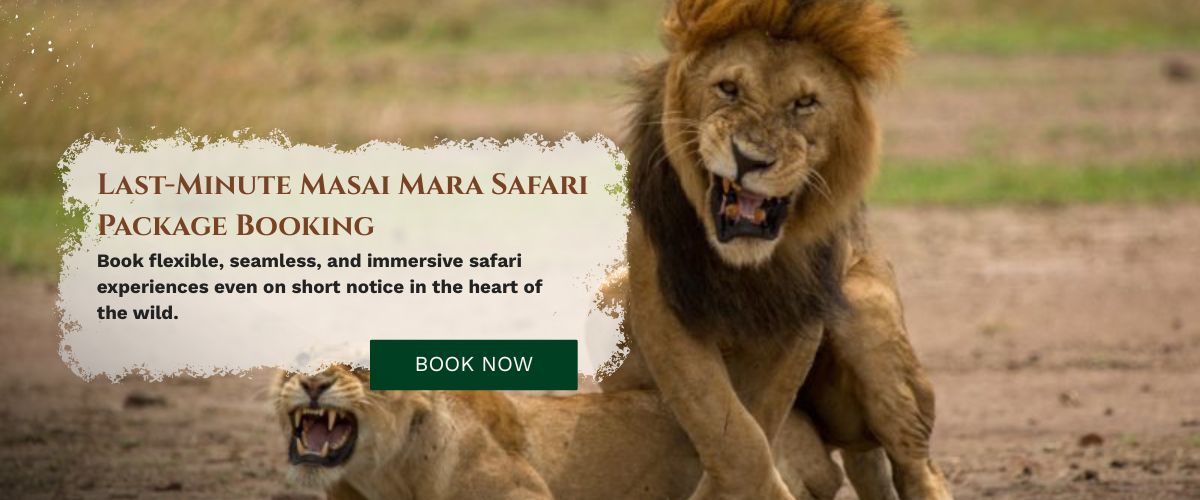 Masai Mara Safari Package