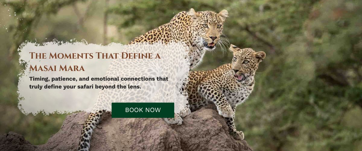 Masai Mara Photography Tour