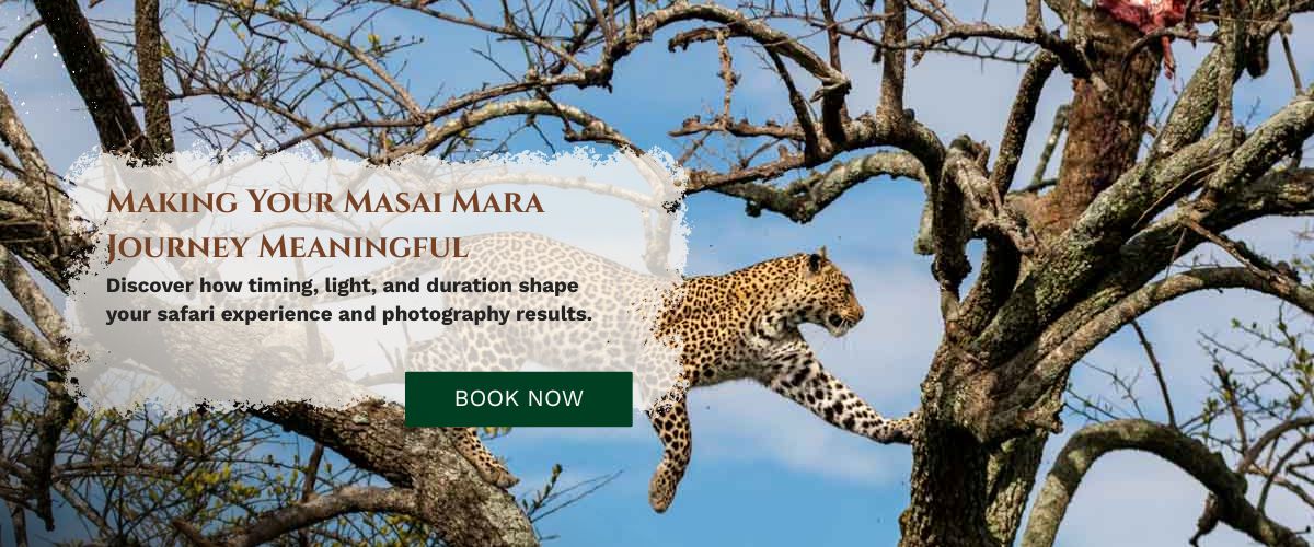 Masai Mara Photography Tour