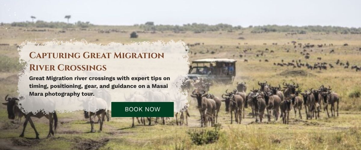 Masai Mara Photography Tour