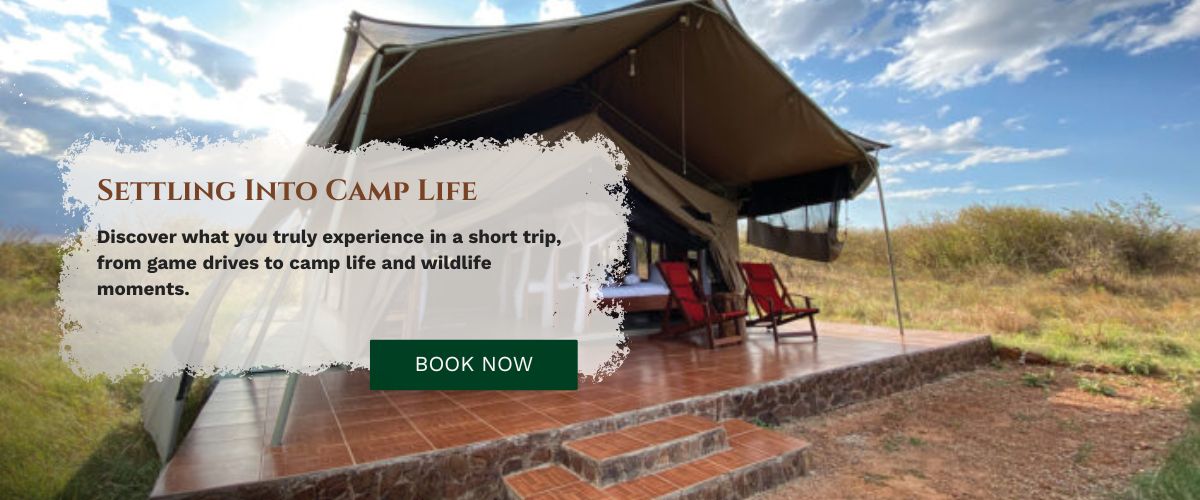 Masai Mara Safari stay