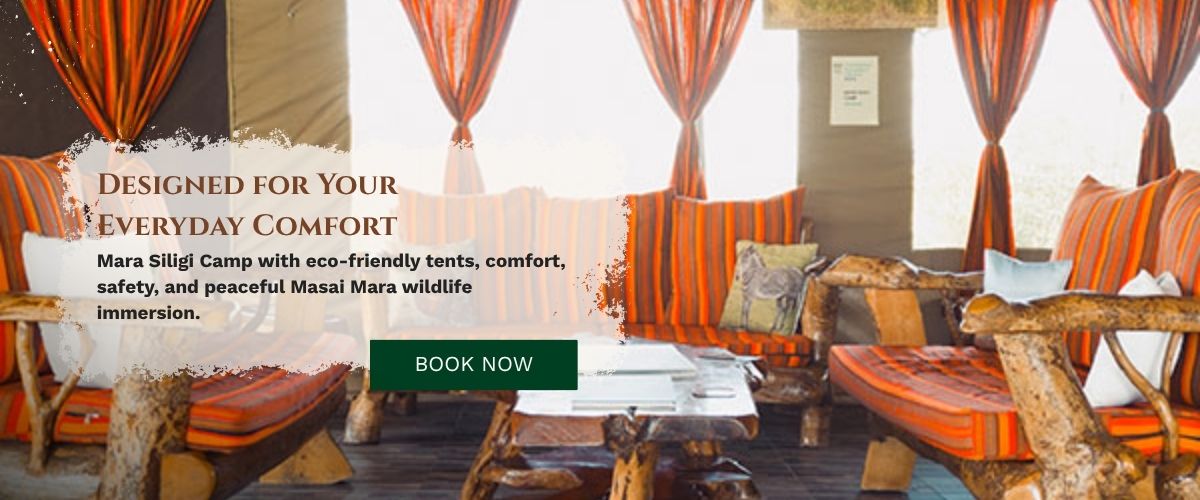 Safari Camp in Masai Mara