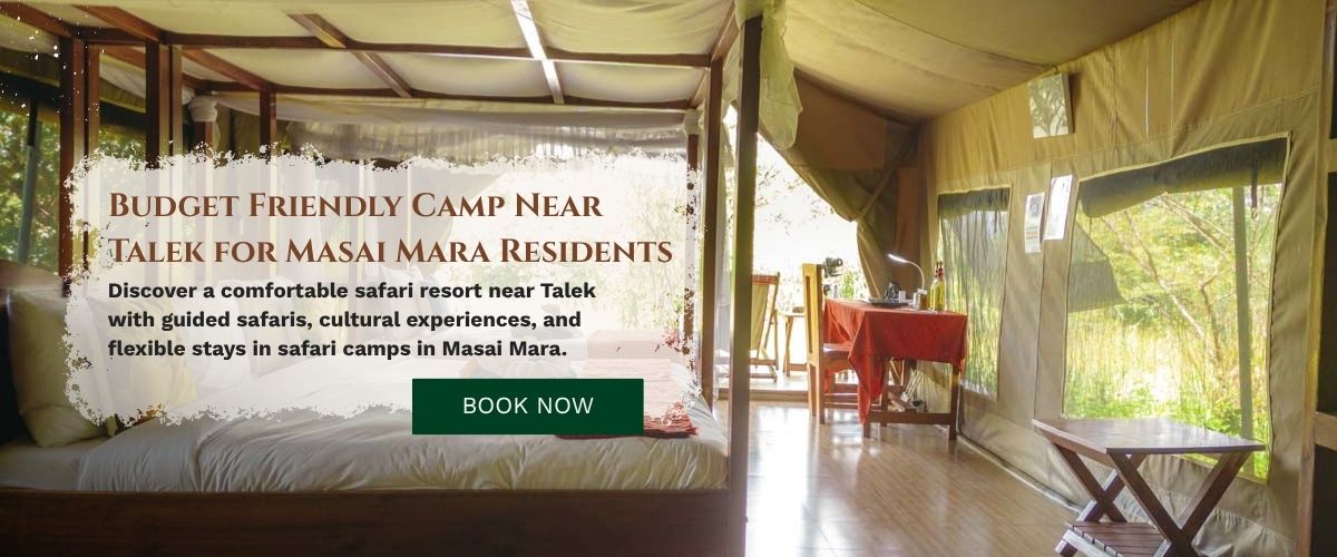 Budget Friendly Camp Near Talek
