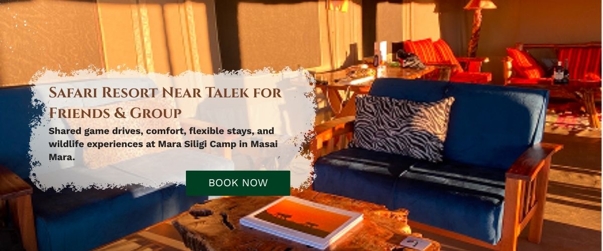 Safari Resort Near Talek