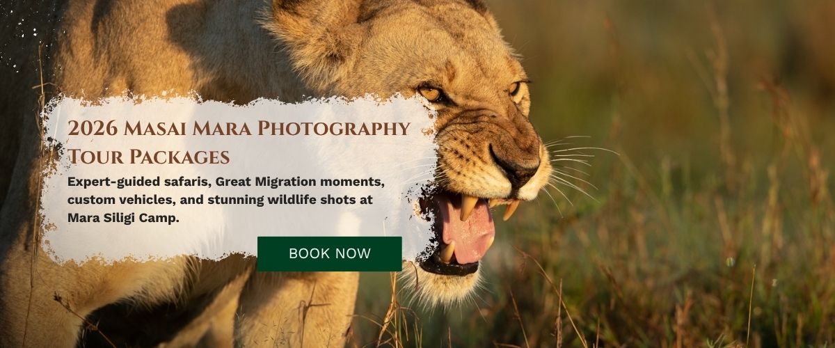Masai Mara Photography Tour Packages
