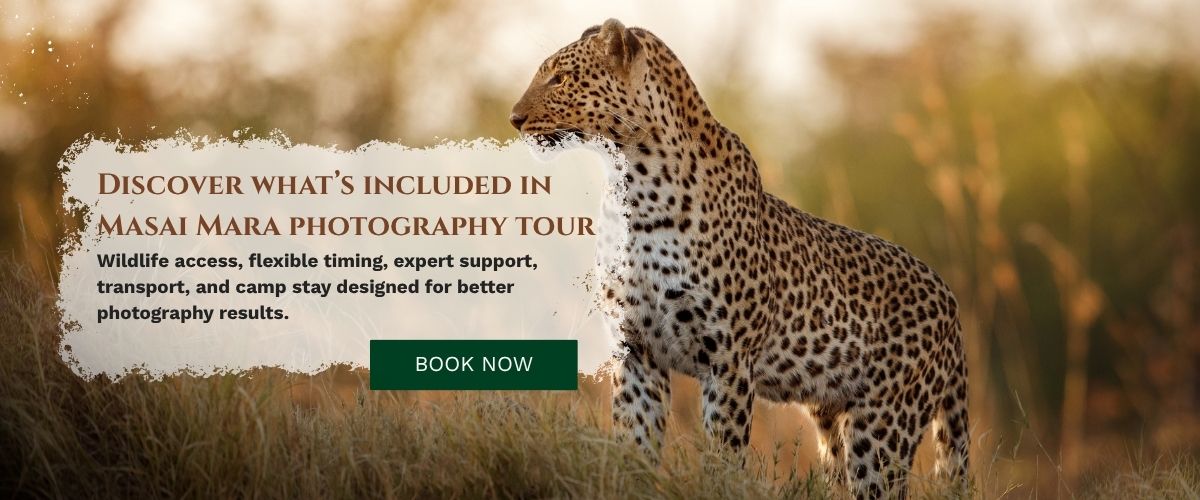 Masai Mara Photography Tour Packages